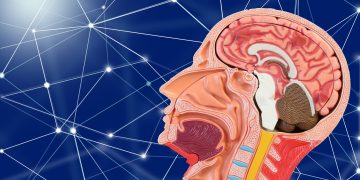 Como se proteger de câncer que atinge mais de 40 mil por ano no Brasil