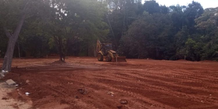 Governo do DF apreende máquina que desmatava área de proteção