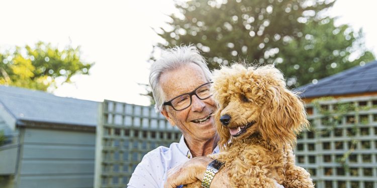 Pets: cães e gatos podem ajudar a frear o envelhecimento, diz estudo