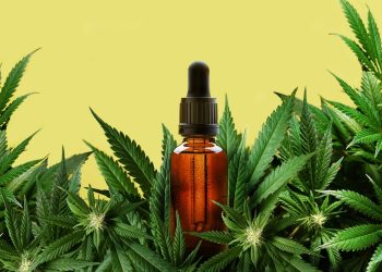 Pesquisa aponta o canabigerol como alternativa promissora contra dor