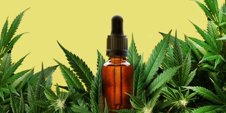 Pesquisa aponta o canabigerol como alternativa promissora contra dor