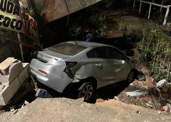 Carro desgovernado derruba muro e invade floricultura no DF. Vídeo