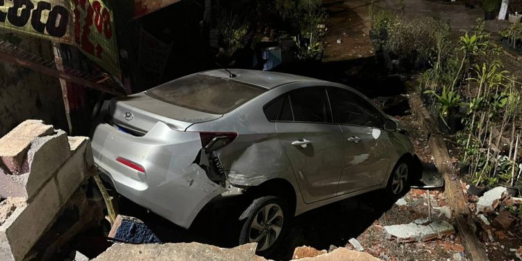 Carro desgovernado derruba muro e invade floricultura no DF. Vídeo