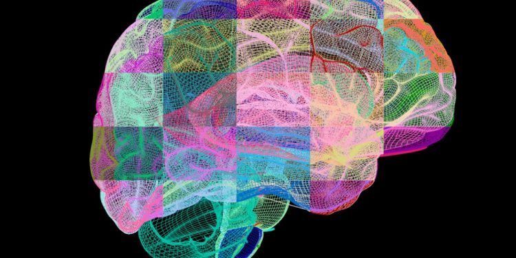 Alzheimer pode seguir quatro caminhos distintos, mostra estudo