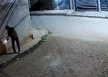 Homem que atirou coquetel molotov na casa de ex-funcionário é preso