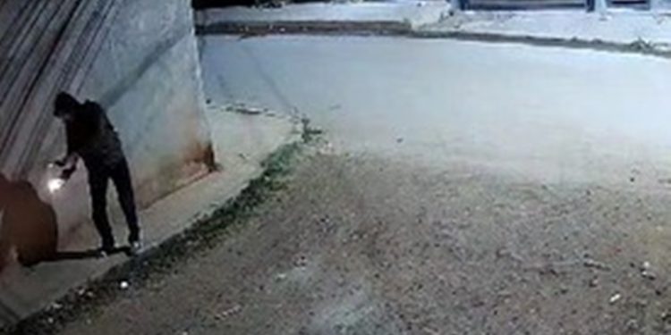 Homem que atirou coquetel molotov na casa de ex-funcionário é preso