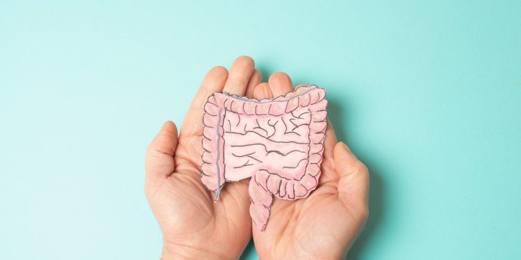 Doença de Crohn: conheça causas e tratamentos da enfermidade