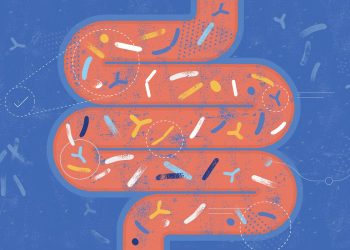 Médicos alertam para aumento de disbiose intestinal durante férias