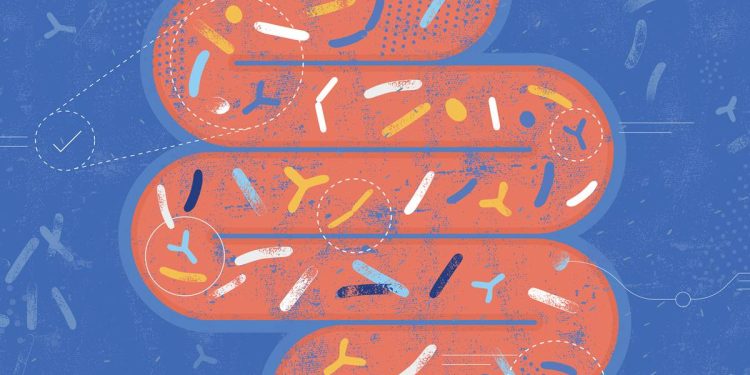 Médicos alertam para aumento de disbiose intestinal durante férias