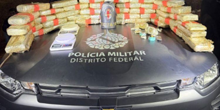 PMDF apreende 43 kg de skunk, com valor estimado em R$ 600 mil