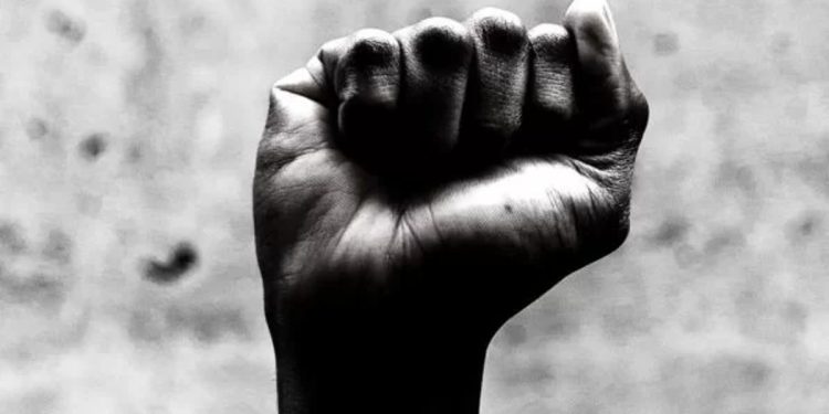 “Cabelo de bucha”: DF teve 706 registros de injúria racial em 2024