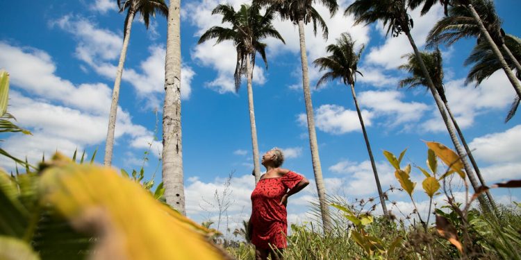 “Macho para quem?” Companheiros são maioria entre agressores de mulheres indígenas no MA