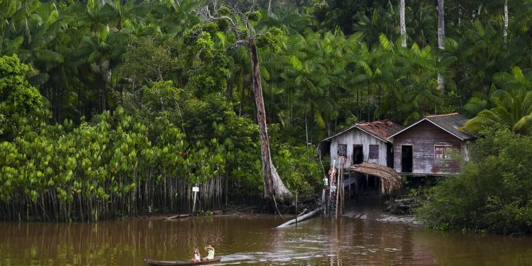 Narcotráfico na Amazônia: “comunidades estão no meio do fogo cruzado”, diz especialista