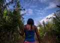 Terra e corpo em risco: violência mais que dobra quando a vítima é mulher indígena no MA
