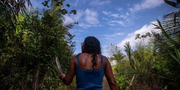 Terra e corpo em risco: violência mais que dobra quando a vítima é mulher indígena no MA