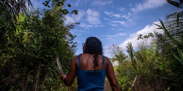 Terra e corpo em risco: violência mais que dobra quando a vítima é mulher indígena no MA