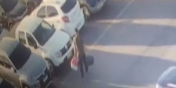 Vídeo: homem abandona cão em aeroporto de SC e embarca para Brasília