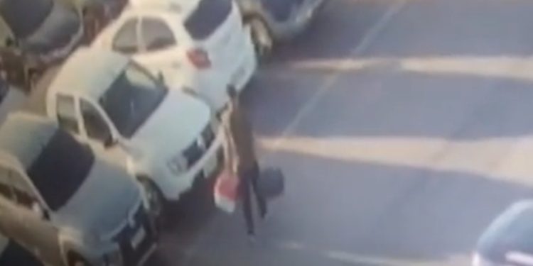 Vídeo: homem abandona cão em aeroporto de SC e embarca para Brasília