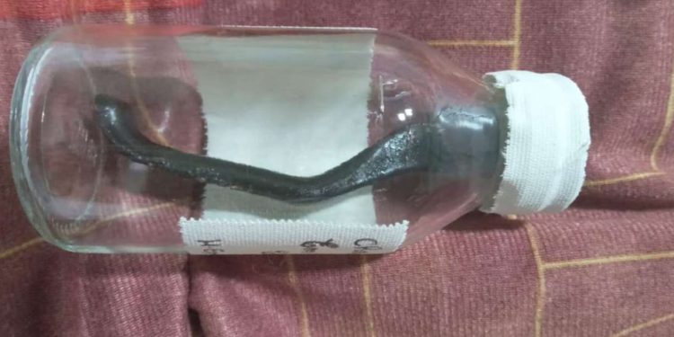 Ciclista atropelado fica 9 meses com peça de bicicleta na barriga