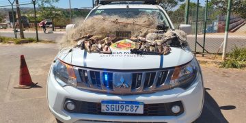 Homens são detidos pela PMDF por pesca proibida em barragem