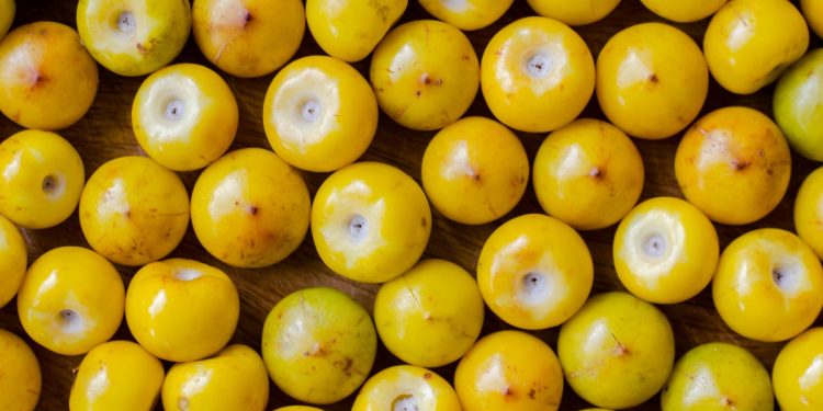 Fruta de ouro: opção tropical nutritiva tem mais proteína que a banana