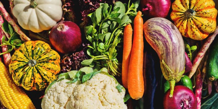 Confira 5 legumes poderosos para ajudar a reduzir a glicose no sangue