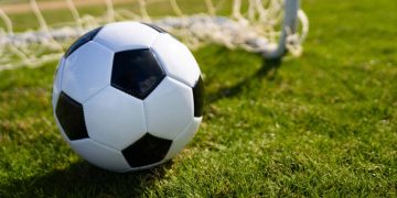 Técnico e jogadores famosos caem em golpe financeiro de advogda