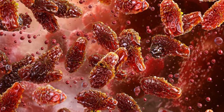 Botulismo: é possível identificar alimentos contaminados?