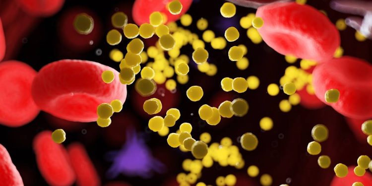 Magro pode ter colesterol alto mesmo com peso ideal, entenda por quê