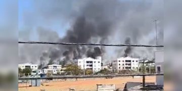 Incêndio atinge área de mata próximo a casas no DF. Veja vídeo