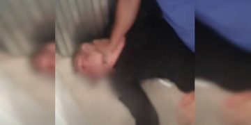 DF: funcionários de loja de gesso tomam arma de ladrão e o imobilizam