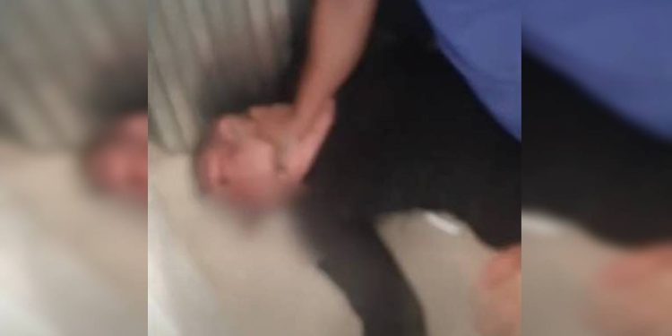 DF: funcionários de loja de gesso tomam arma de ladrão e o imobilizam