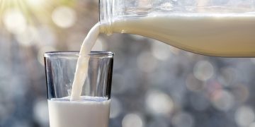 Leite de vaca é saudável? Veja 7 mitos e verdades sobre o consumo