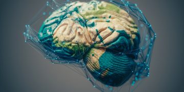 Mapa cerebral do corpo permanece igual mesmo depois de amputação