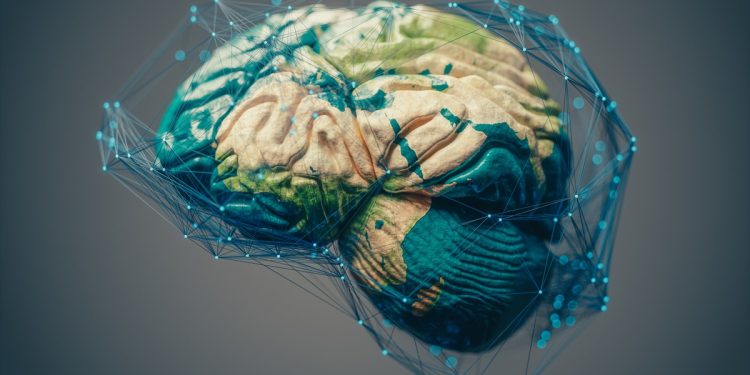 Mapa cerebral do corpo permanece igual mesmo depois de amputação