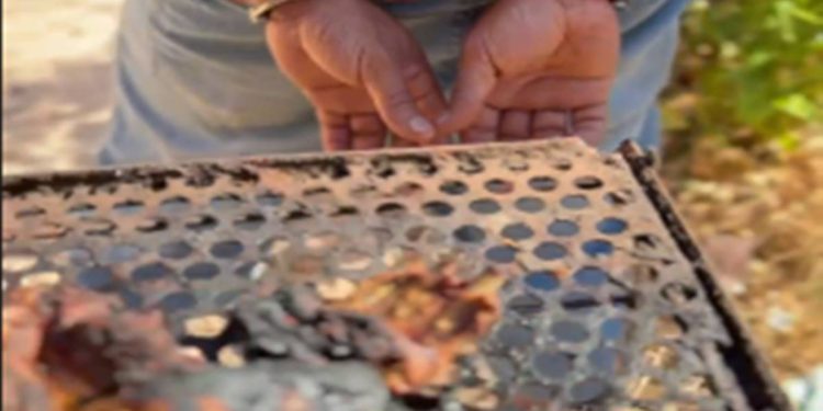 Criminoso que abriu fogo dentro de bar é preso fazendo churrasco