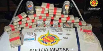 PMDF apreende lote de “supermaconha” que valeria R$ 1 milhão nas ruas