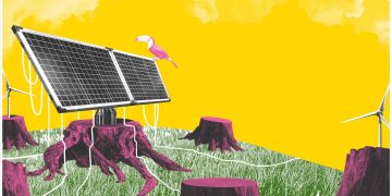 Microbolsas Greenwashing e Transição Energética