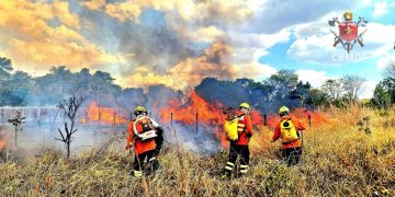 DF tem a 3ª maior queimada do ano; equivalente a 574 campos de futebol