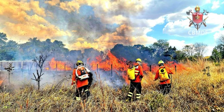DF tem a 3ª maior queimada do ano; equivalente a 574 campos de futebol