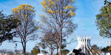 Chegou a primavera! Estação começa no DF com calor e chuvas isoladas