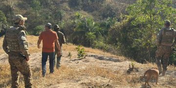 BPMA alerta para presença de onça e filhotes perto de chácaras do DF