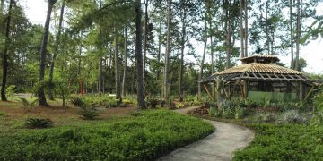 Jardim Botânico de Brasília estará fechado de 9 a 12 de setembro