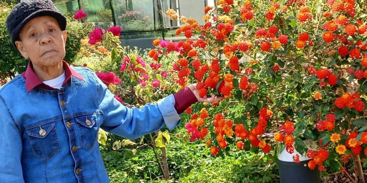 Amor pela jardinagem: morre primeira jardineira da Novacap aos 79 anos