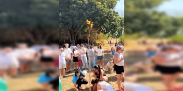 Protetora de animais morta em acidente é homenageada com ipê amarelo