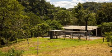 Força-tarefa será montada para capturar onça que matou bezerros no DF