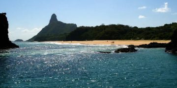 Golpe de agência afetou mãe em resguardo: “Até o leite parou de sair”