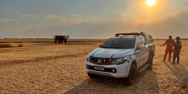 Trabalhador rural morre atropelado enquanto tenta apagar incêndio