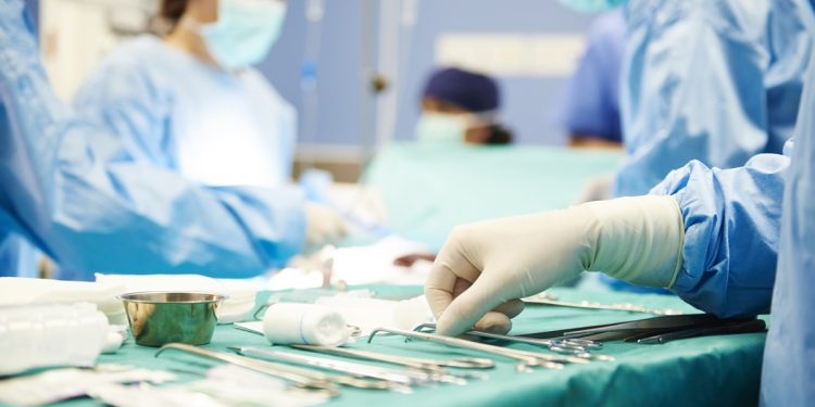 EUA autoriza testes de transplante de rim de porco em humanos