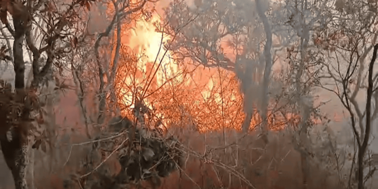 “Vou ter que sair”, disse morador que teve casa ameaçada por incêndio